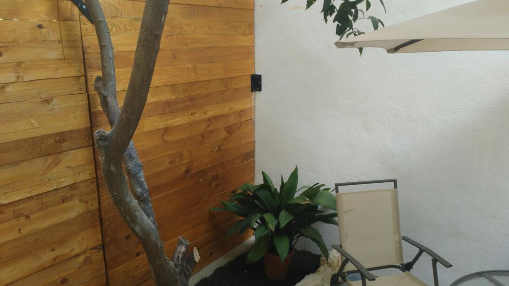 Apartamentos Fernando El Catolico Málaga Extérieur photo